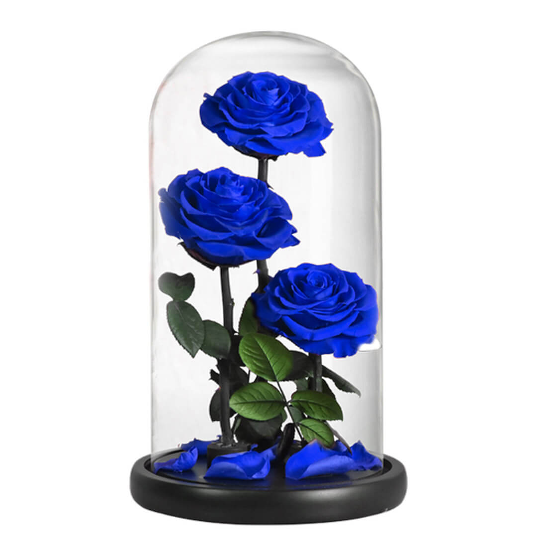 Grande Rose Sous Cloche 5 | The Luxury Box