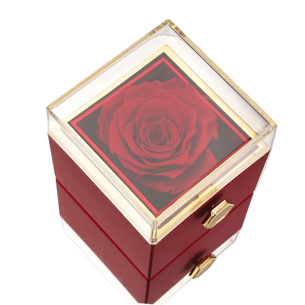 Gif Suprise | The Luxury Box