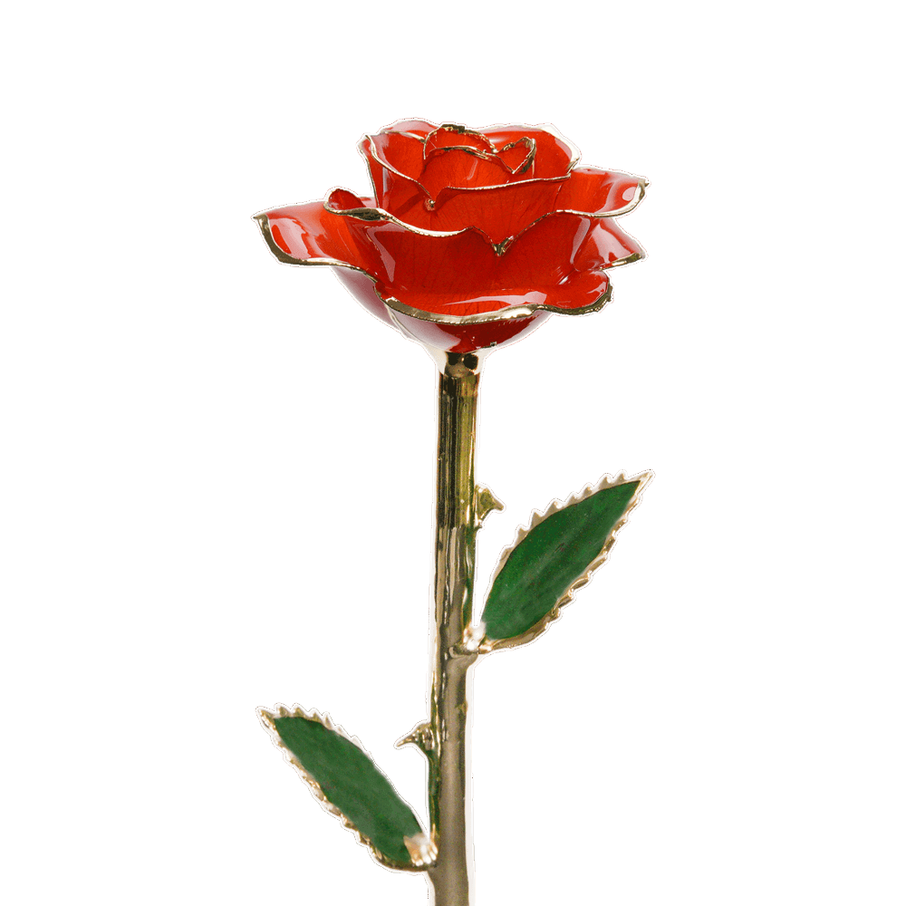 Rose Deluxe Love Day | The Luxury Box