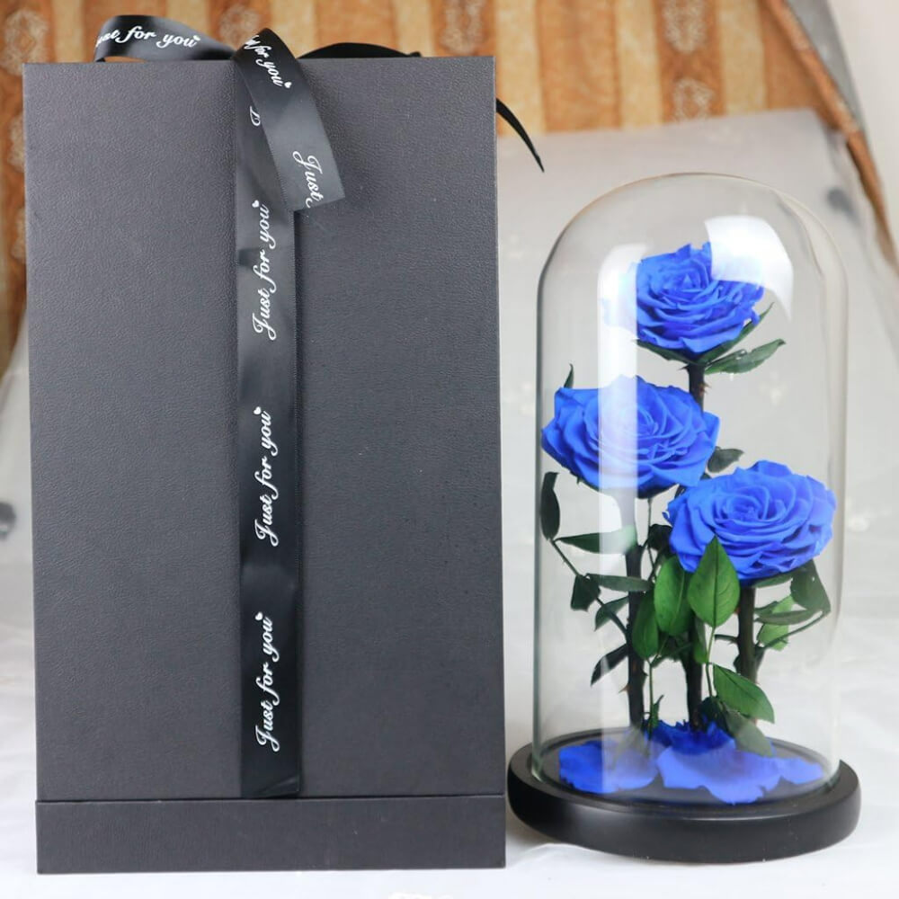 Rose
  Deluxe Cloche