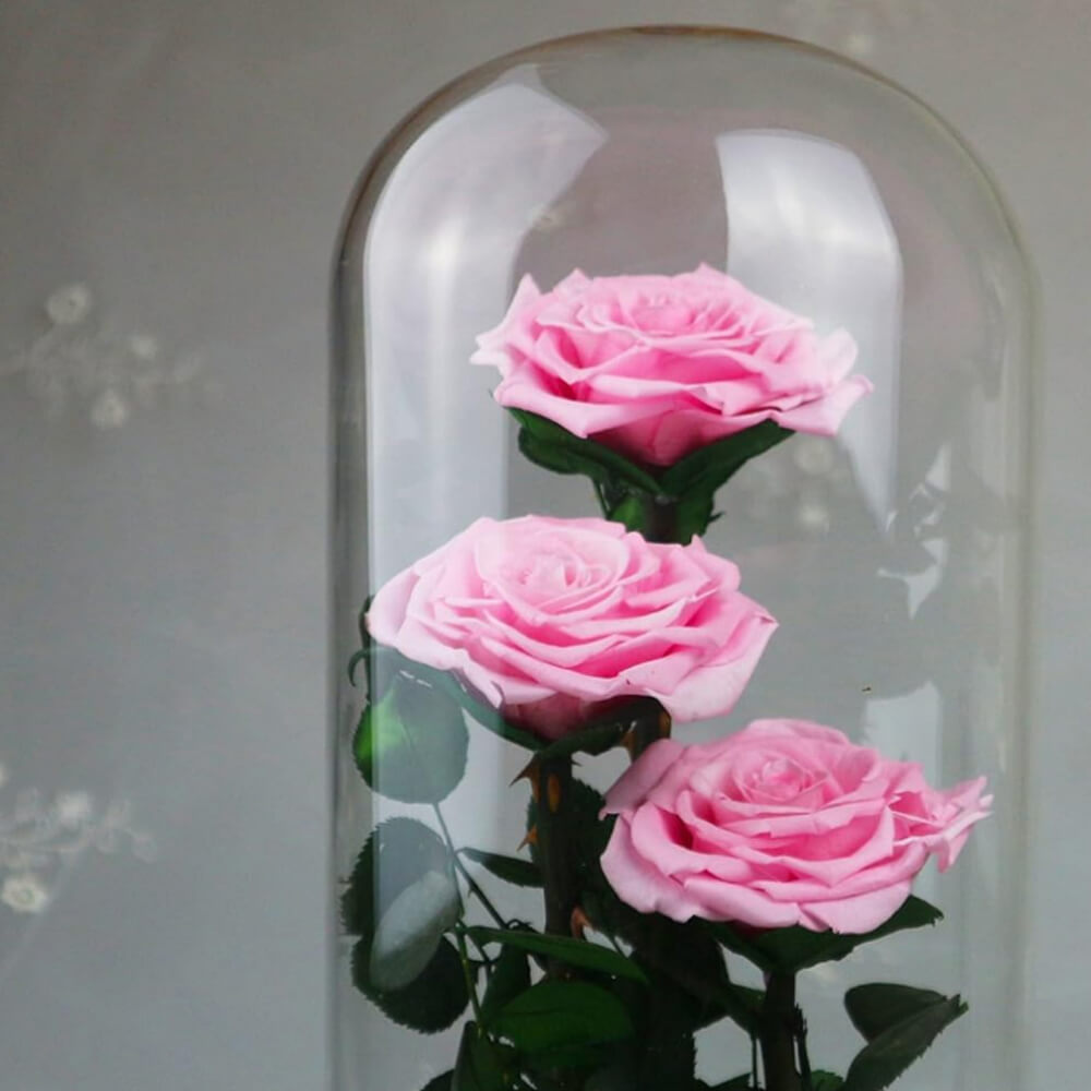 Rose
  Deluxe Cloche