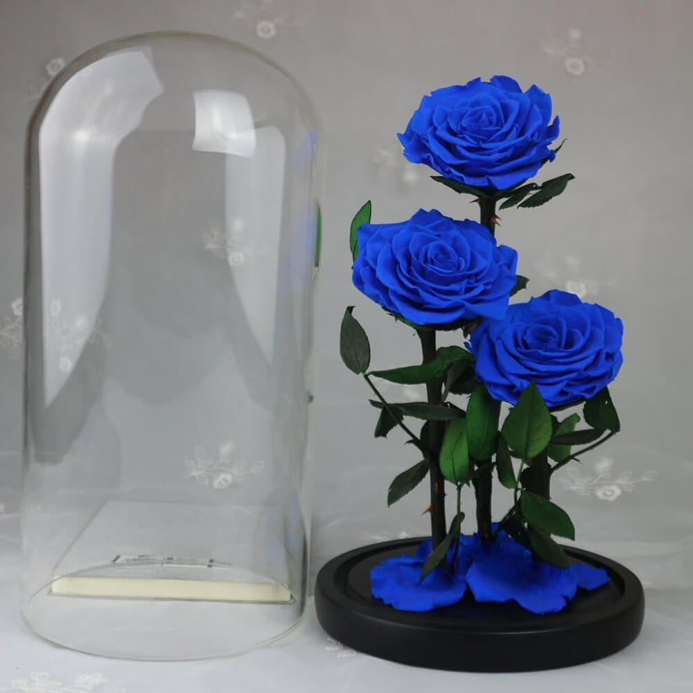 Rose
  Deluxe Cloche