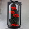 Rose
  Deluxe Cloche