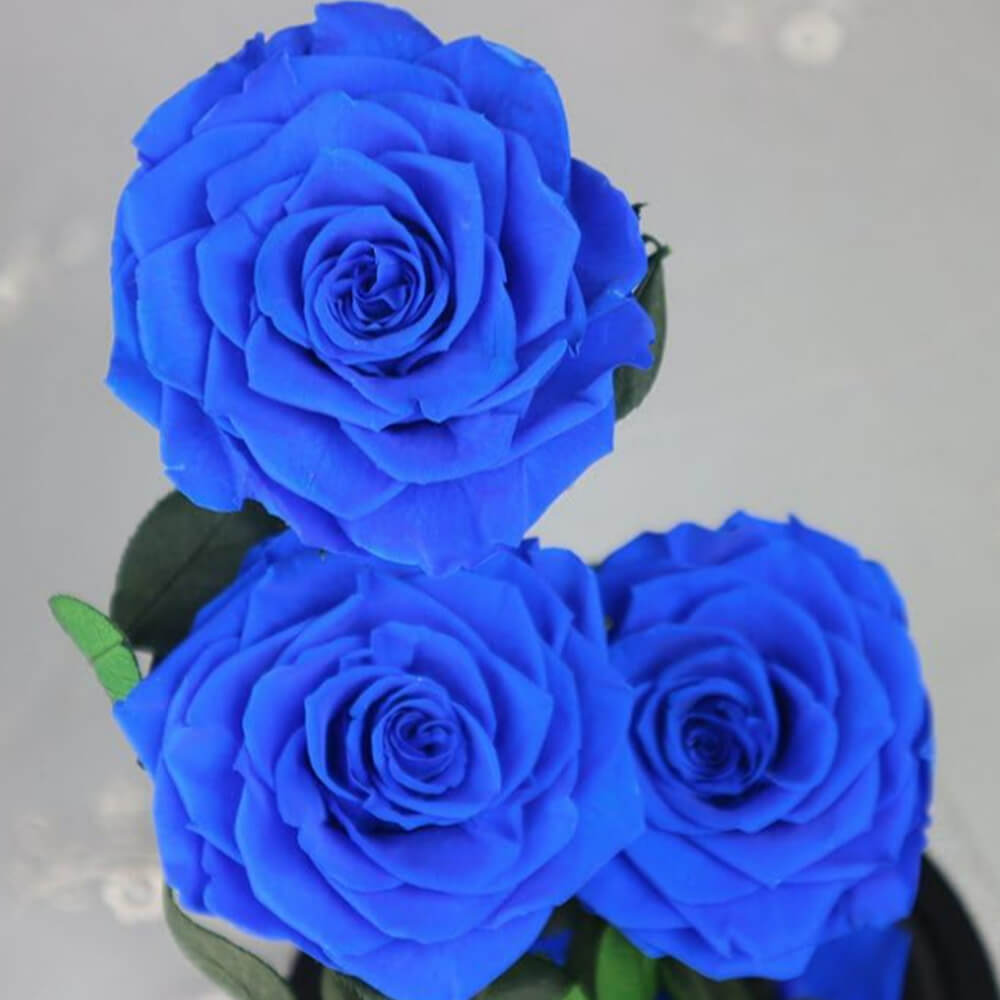 Rose
  Deluxe Cloche