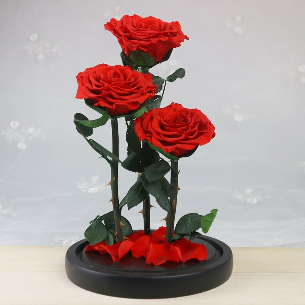 Rose
  Deluxe Cloche