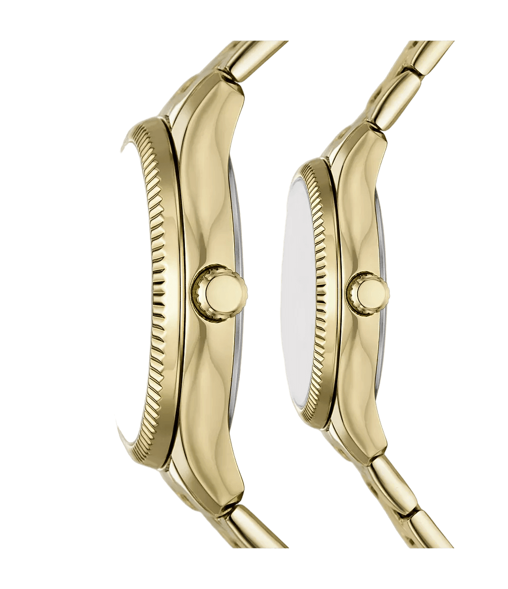 Montre Fossils 10E | The Luxury Box