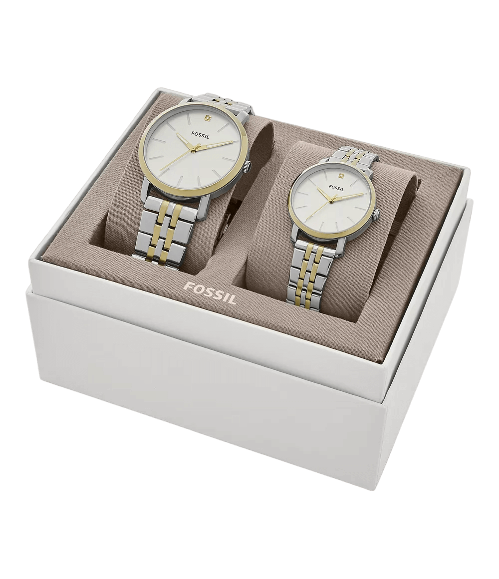 Montre Fossils 2 A | The Luxury Box