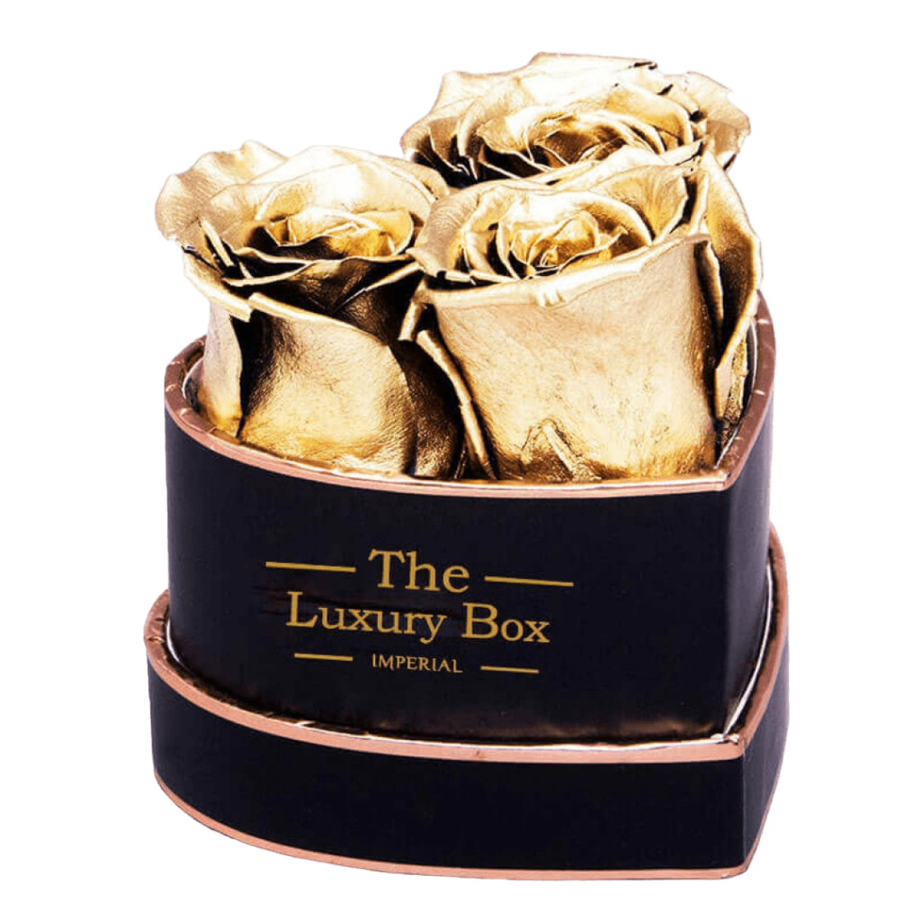 Coffret Deluxe Dore 10 | The Luxury Box