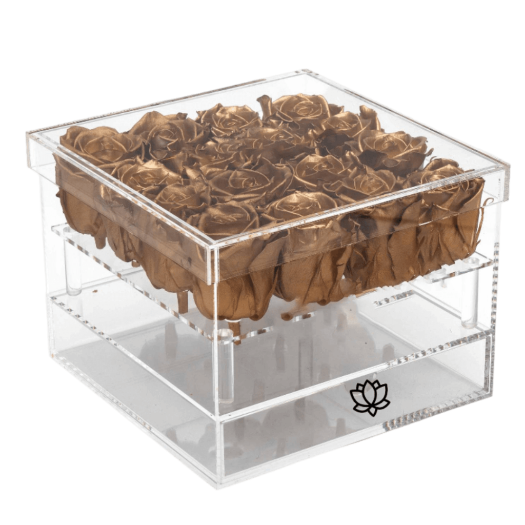 Coffret Deluxe Dore 12 | The Luxury Box