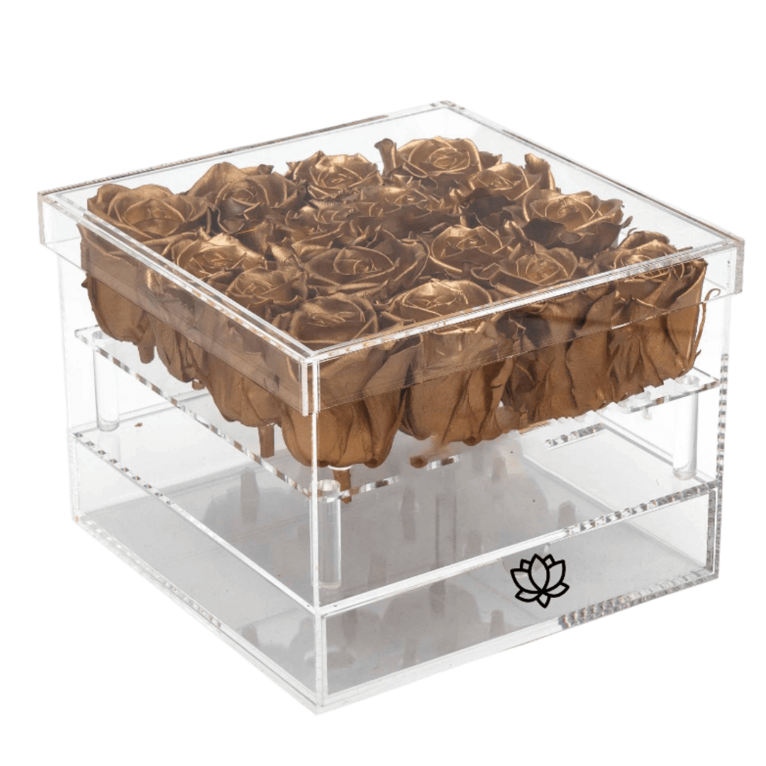 Coffret Deluxe Dore 12 | The Luxury Box