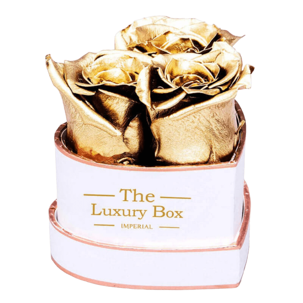 Coffret Deluxe Dore 15 | The Luxury Box