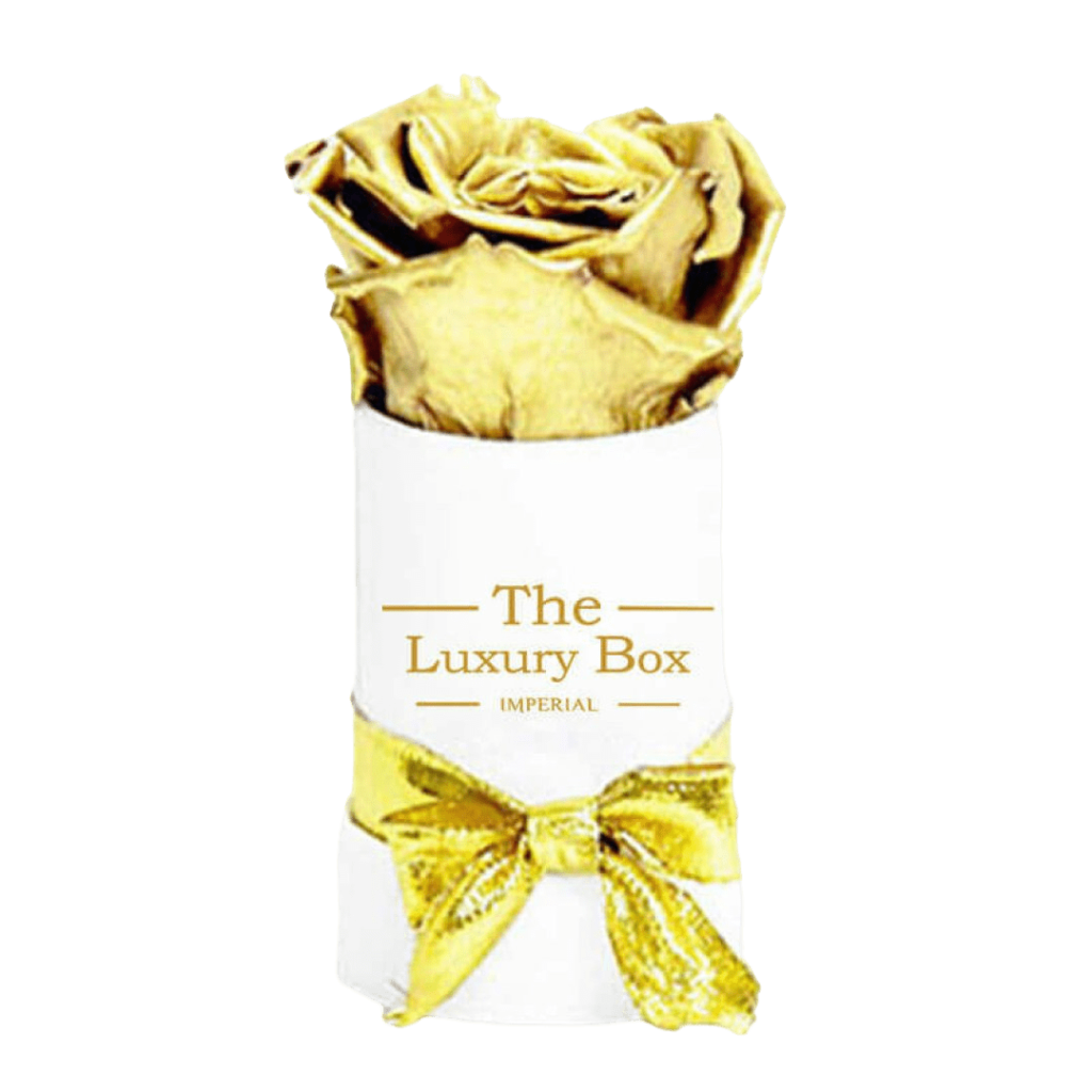 Coffret Deluxe Dore 17 | The Luxury Box