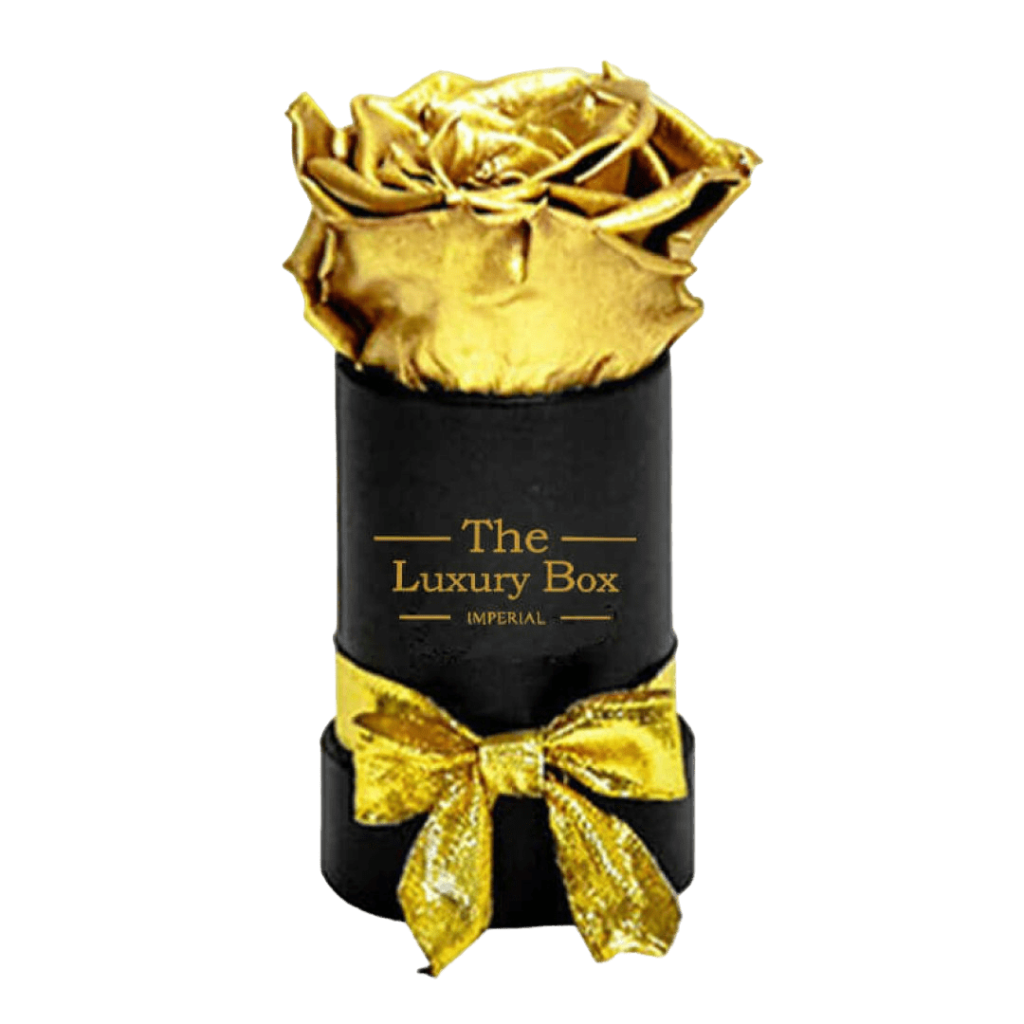 Coffret Deluxe Dore 7 | The Luxury Box