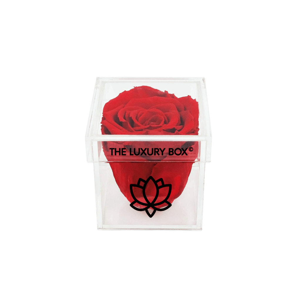 Coffret de Fleurs en Acrylique 6 | The Luxury Box