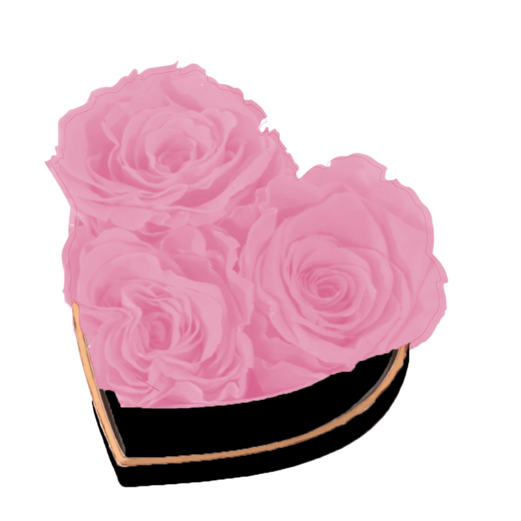Petit coeur de roses | The Luxury Box