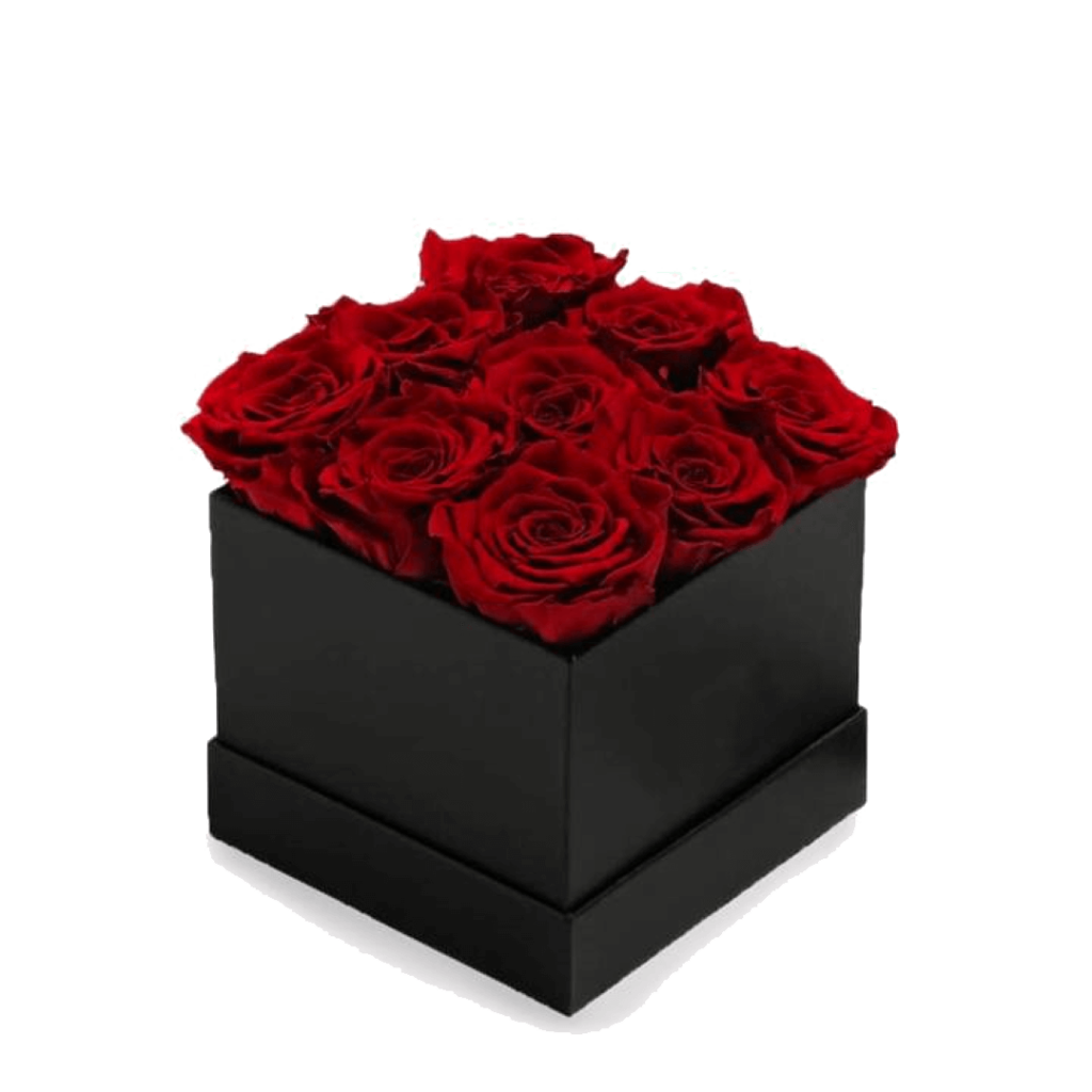 The Square Box 18 1 min | The Luxury Box