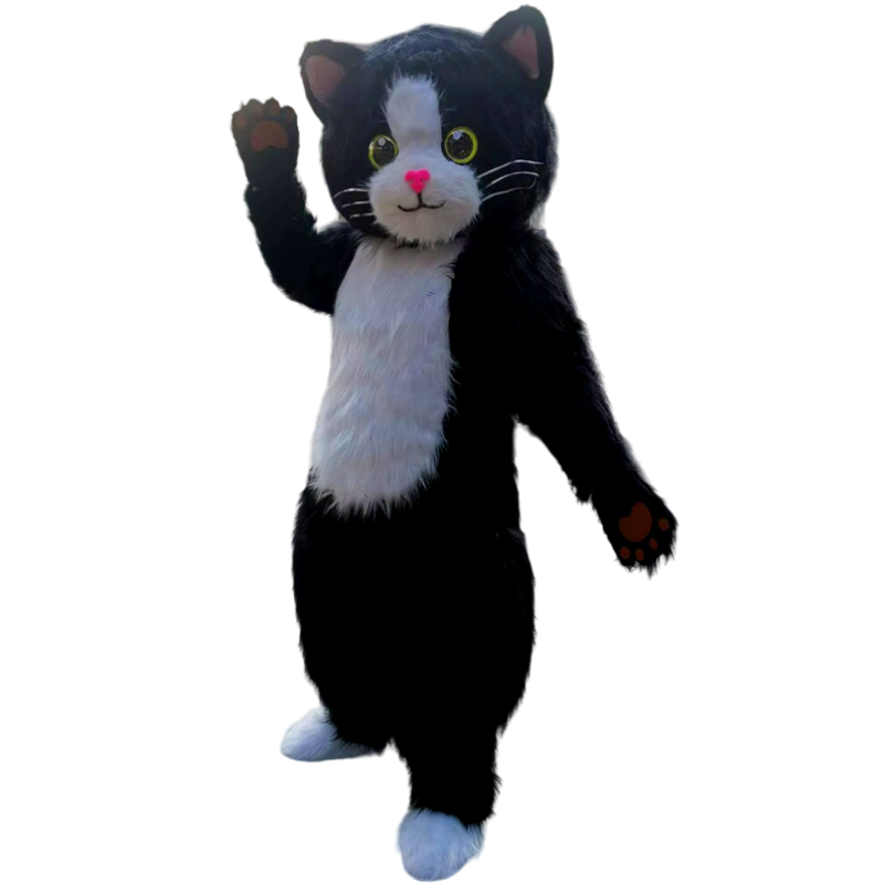 Mascotte Chat 2 | The Luxury Box